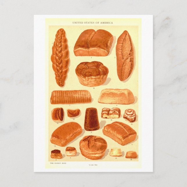 Vintage Breads of the USA Postcard (Front)