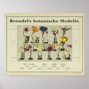 Vintage Brendel's Flower Model Ad Art Print
