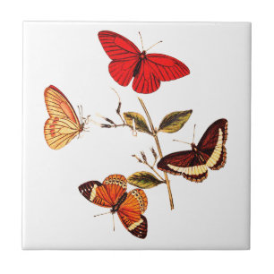 Vintage British Red Butterflies Insect Art Ceramic Tile