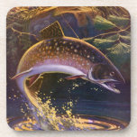 Vintage Brook Trout Fish Fisherman, Sports Fishing Drink Coaster