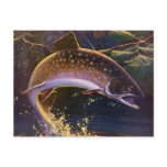Vintage Brook Trout Fish Fisherman, Sports Fishing Postcard