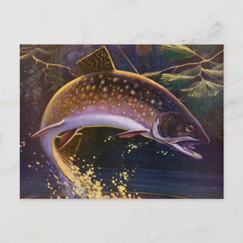 Vintage Brook Trout Fish Fisherman Sports Fishing Postcard