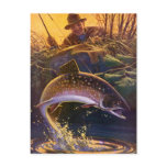 Vintage Brook Trout Fish Fisherman, Sports Fishing Postcard