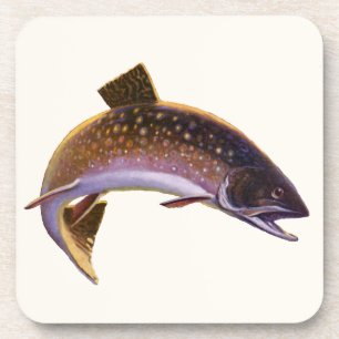 Vintage Brook Trout Fish, Sports Fishing Fisherman Beverage Coaster