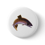 Vintage Brook Trout Fish, Sports Fishing Fisherman Button