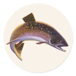 Vintage Brook Trout Fish, Sports Fishing Fisherman Classic Round Sticker