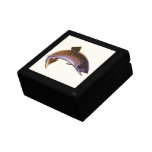 Vintage Brook Trout Fish, Sports Fishing Fisherman Jewelry Box