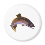 Vintage Brook Trout Fish, Sports Fishing Fisherman Magnet