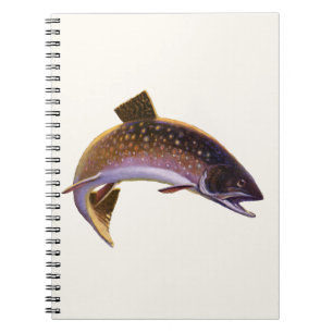 Vintage Brook Trout Fish, Sports Fishing Fisherman Notebook