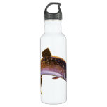 Vintage Brook Trout Fish, Sports Fishing Fisherman Water Bottle