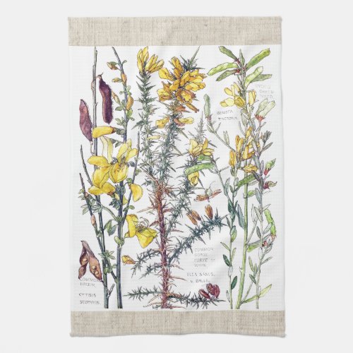 Vintage Broom Wildflowers Flowers Kitchen Towels