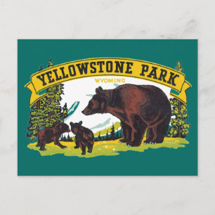 Vintage Brown Bears in Yellowstone National Park Postcard