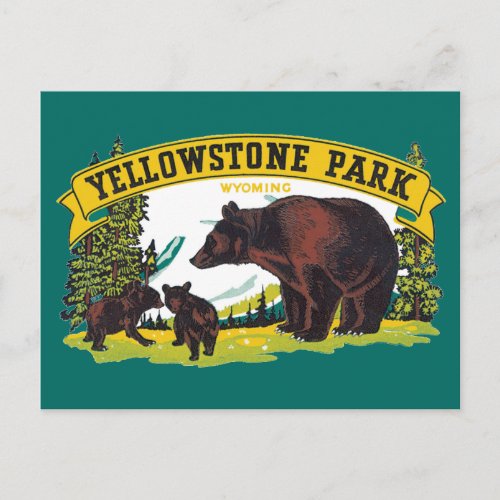 Vintage Brown Bears in Yellowstone National Park Postcard