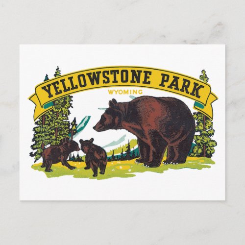 Vintage Brown Bears in Yellowstone National Park Postcard