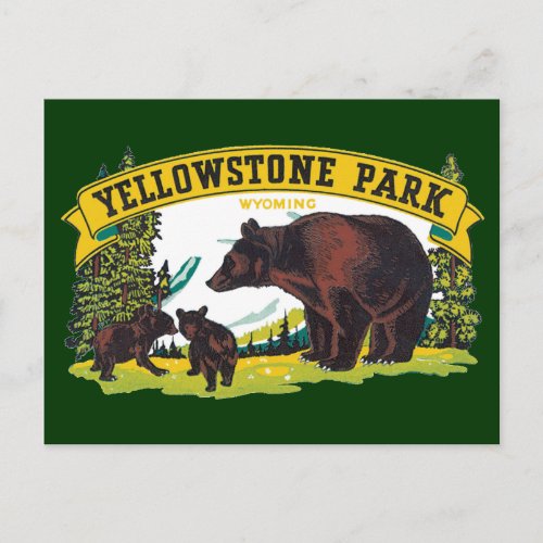 Vintage Brown Bears in Yellowstone National Park Postcard