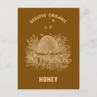 Vintage Brown Beehive  Postcard