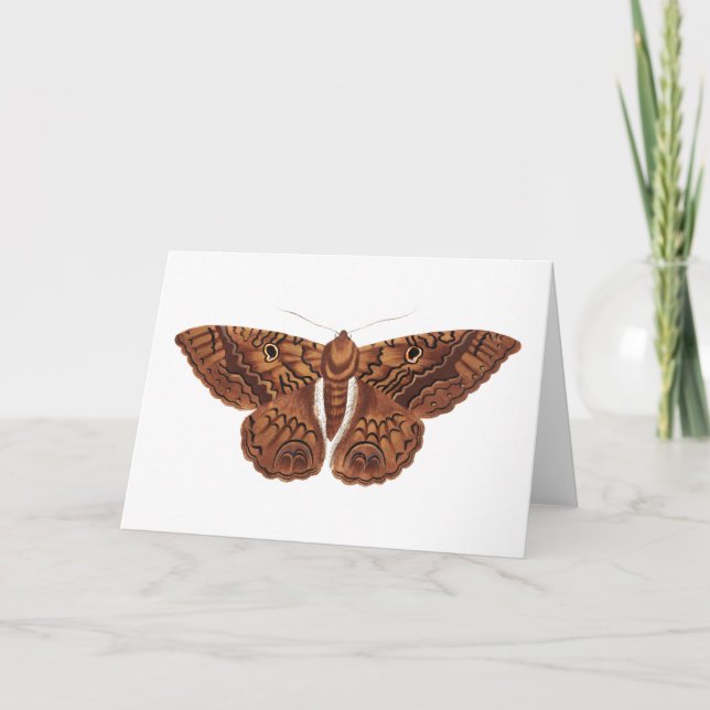 Vintage Brown Butterfly Card (Front)