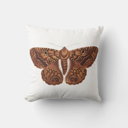 Vintage Brown Butterfly Illustration Throw Pillow