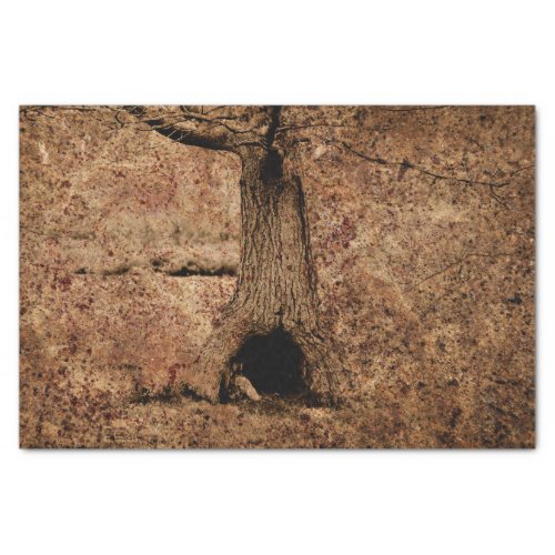 Vintage Brown Country Rustic Grunge Tree Texture Tissue Paper