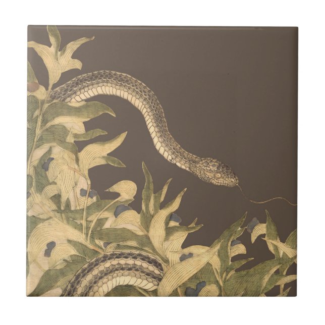 Vintage Brown Snake Ceramic Tile (Front)