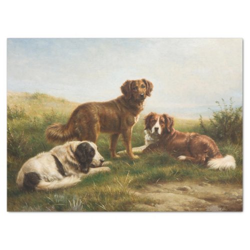Vintage Brown White Dogs Resting In The Plateau  Tissue Paper
