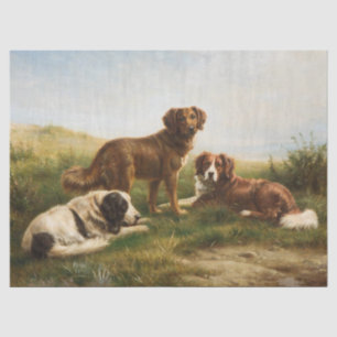 Vintage Brown White Dogs Resting In The Plateau Tissue Paper