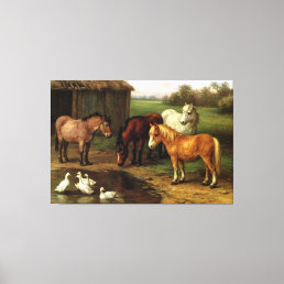 Vintage Brown White Horse And Ducks Farm Animals Canvas Print