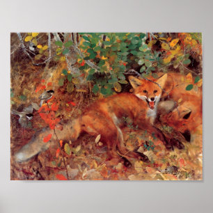 Vintage Bruno Liljefors Foxes Poster