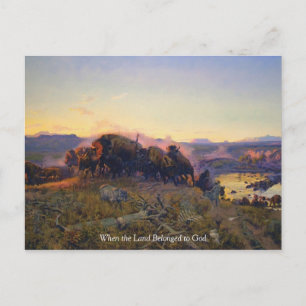 Vintage Buffalo Run in Mountains Postcard