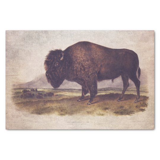 Vintage Buffalo Tissue or Decoupage Paper | Zazzle.com