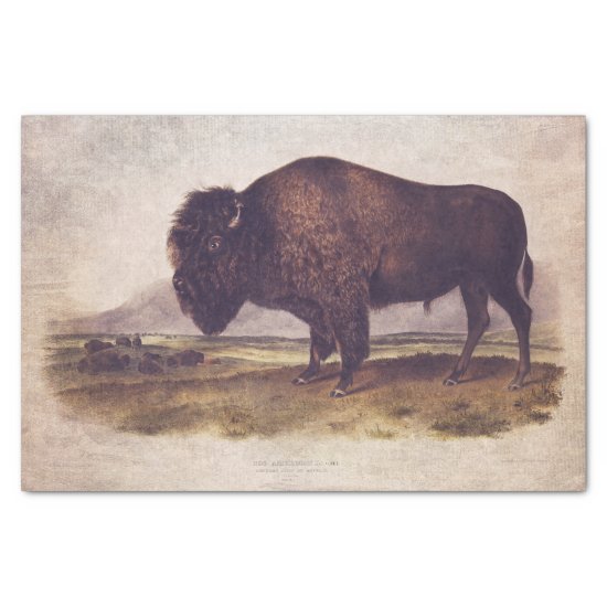 Vintage Buffalo Tissue or Decoupage Paper