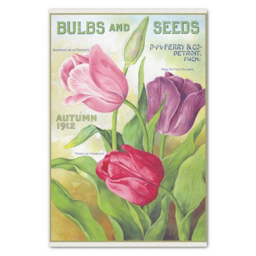 Vintage Bulbs and Seeds 1912 Tulips Tissue Paper