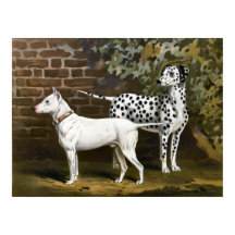 Vintage Bull Terrier and Dalmatian dog art