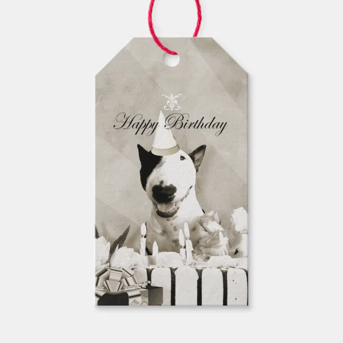 Toy English Bull Terrier gift wrapped or not with or without engraved tag 