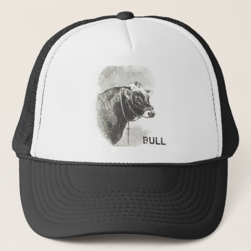 Vintage Bull Trucker Hat