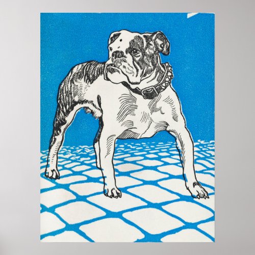 Vintage Bulldog Drawing Poster