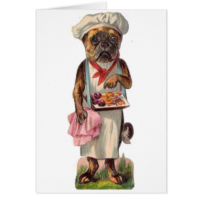 Vintage - Bulldog in Chef's Outfit, (Front)