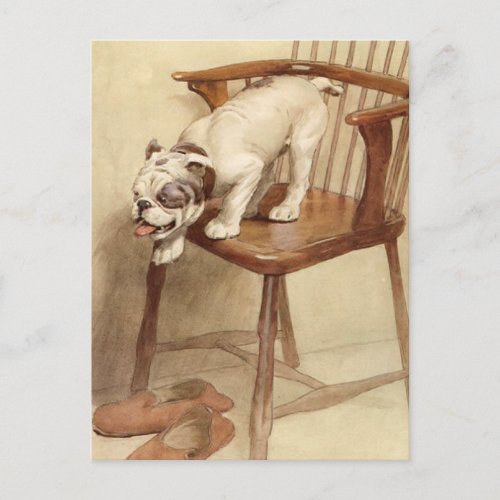 Vintage Bulldog Puppy Illustration Postcard