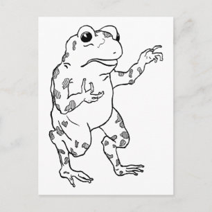 Vintage Bullfrog Illustration Postcard