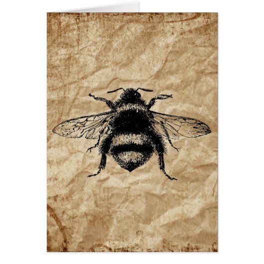 Vintage Bumble bee Cards (Front)