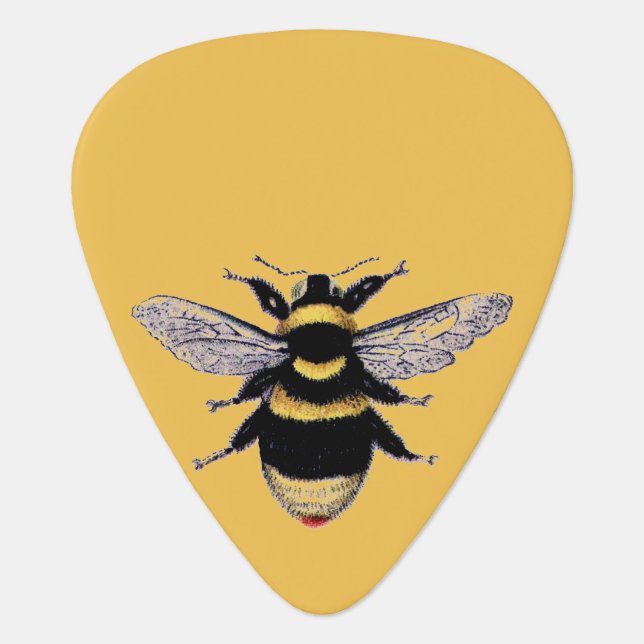 Vintage Bumble Bee Guitar Pick (Front)
