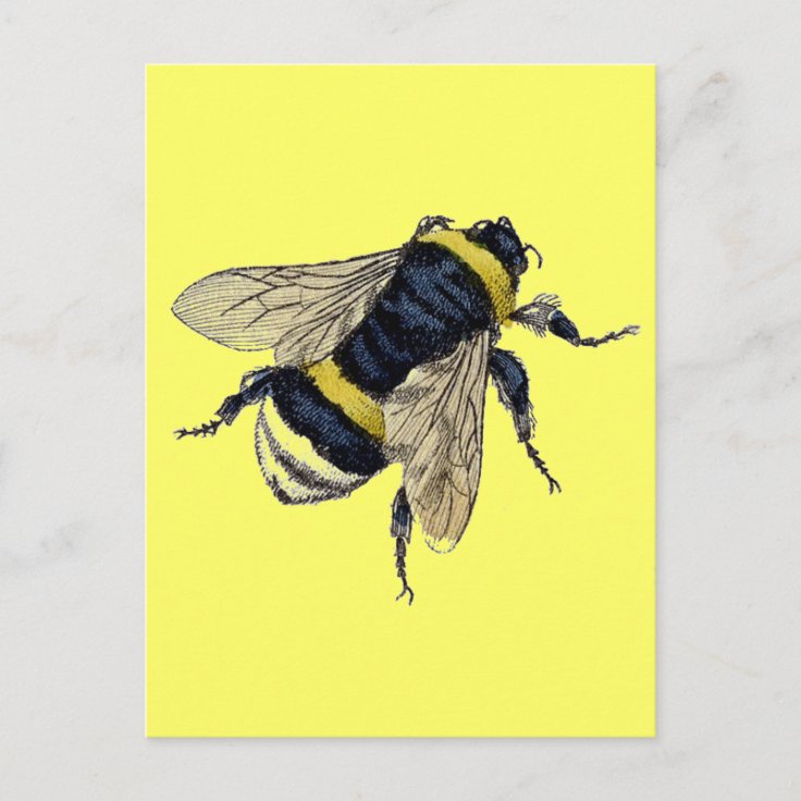 Vintage Bumble Bee Postcard | Zazzle