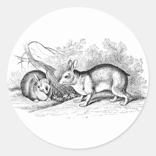 Vintage Bunny Rabbit animal illustrations Classic Round Sticker