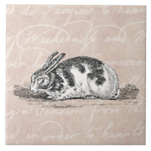 Vintage Bunny Rabbit Illustration - 1800's Rabbits Ceramic Tile