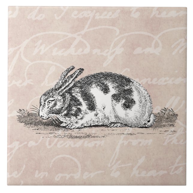 Vintage Bunny Rabbit Illustration - 1800's Rabbits Ceramic Tile (Front)