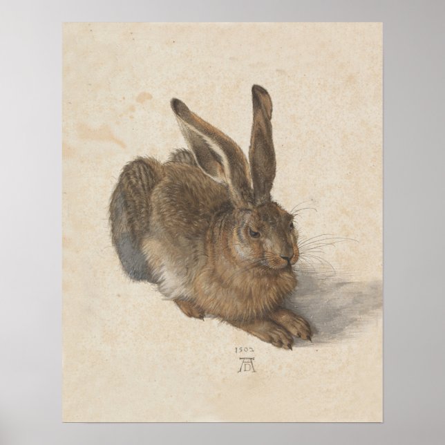 Vintage Bunny Rabbit Print (Front)