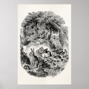 Vintage Bunny Rabbits 1800s Bunnies Rabbit Poster