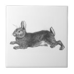 Vintage Bunny Tile<br><div class="desc">This vintage image of a bunny rabbit hopping away will bring a smile to the heart of any child or child-like friend! Place this bunny tile in a special place where he will feel safe.</div>
