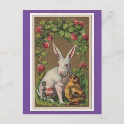 Vintage Bunny With Chick Postcard