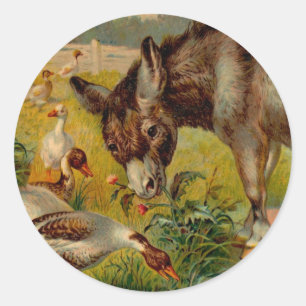 Vintage Burro With Geese Classic Round Sticker